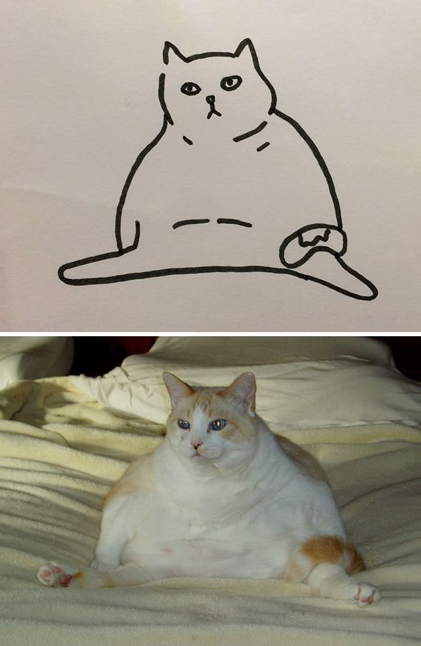 Poorly Drawn Cat