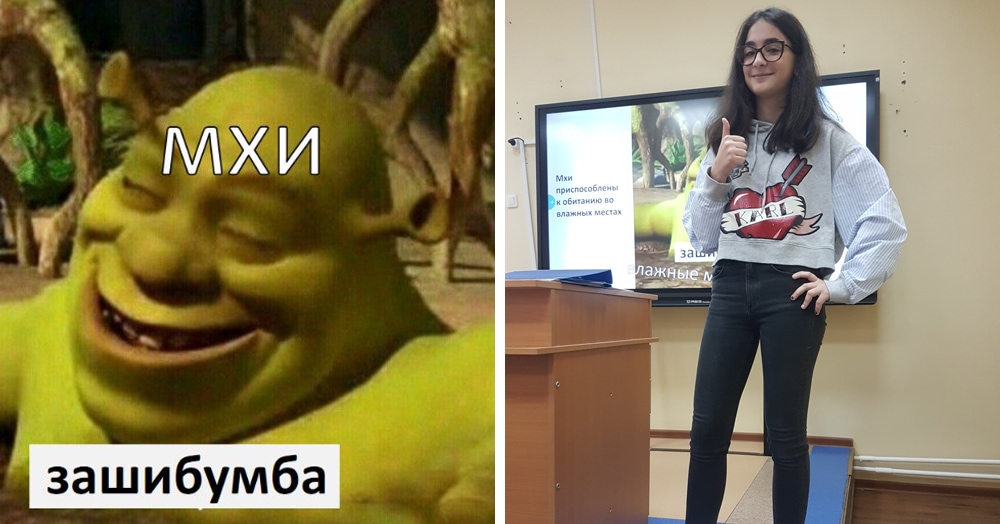 Школьница подошла к презентации по биологии слишком креативно, и вместо обычных картинок у неё мемы