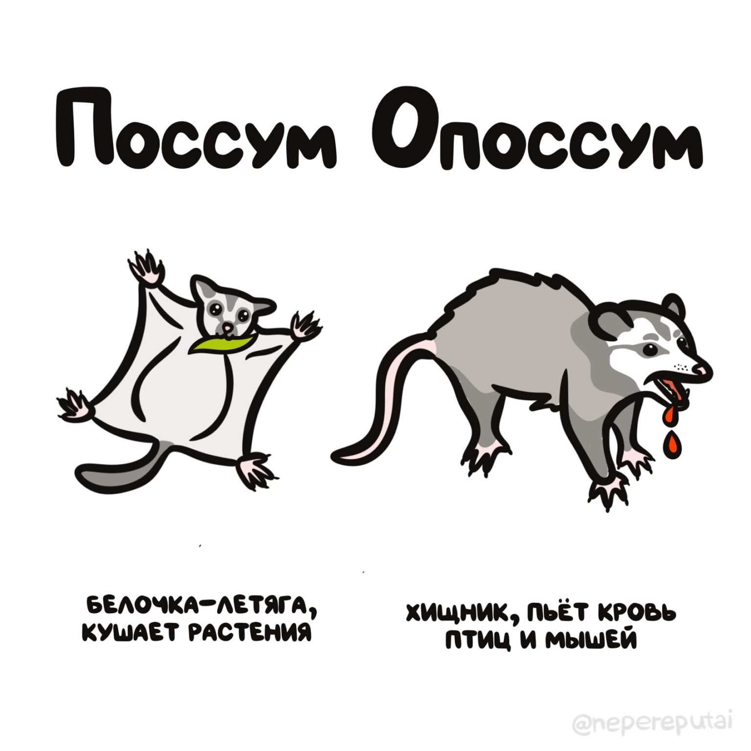 Путать Фото
