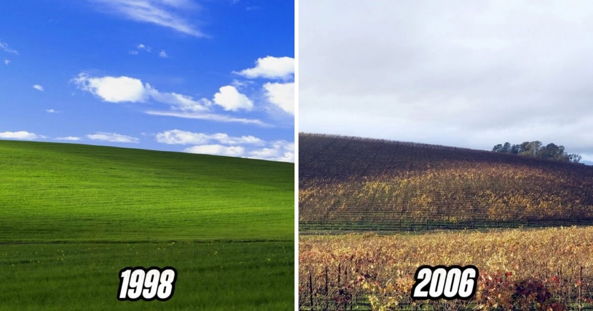 В сети показали, как выглядит место с заставки Windows XP в 1998, 2006, 2020, 2024 и 2025 годах