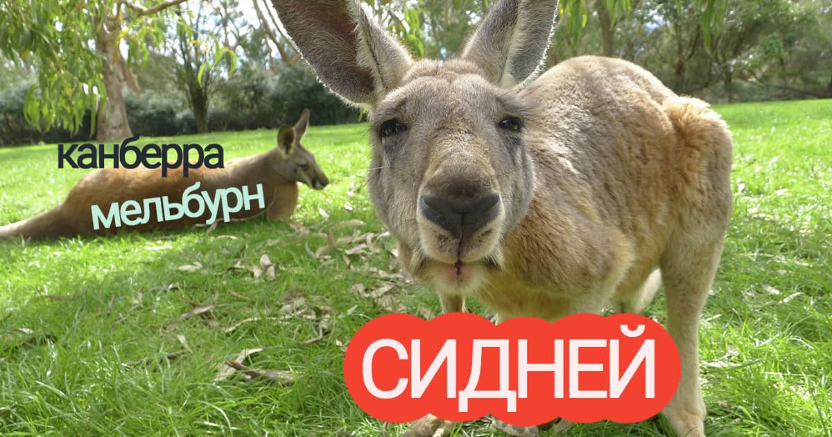 Тест с подвохом: Знаете ли вы столицы этих стран?